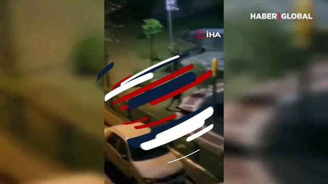 İstanbul'da akıllara durgunluk veren görüntü! Ağaca yaklaştı ve...