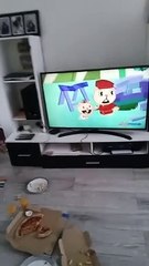 Wtw htf on nicktoon 3:50pm