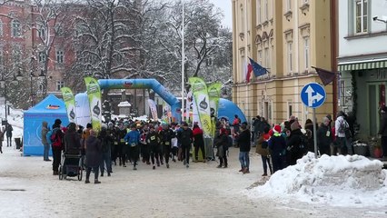 Wyszehradzki Ultramaraton "Twierdza Przemyśl" 2023. Na starcie 475 osób