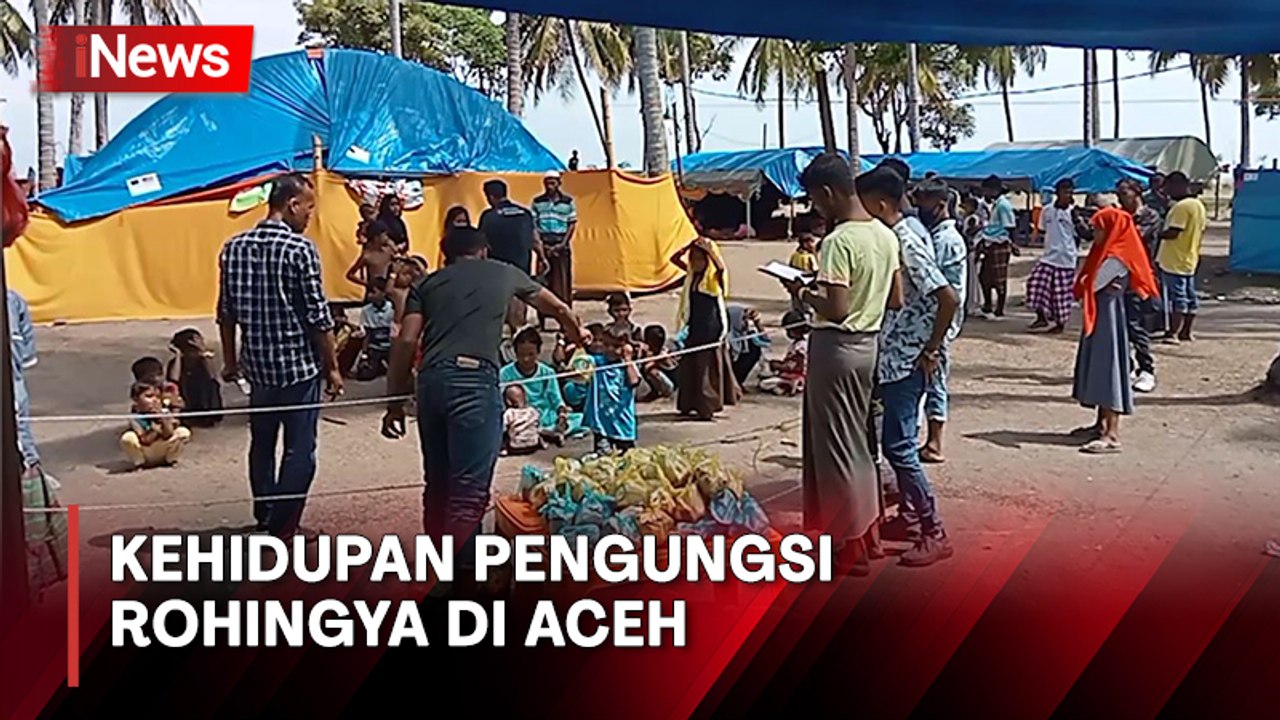 Bertahan Hidup di Bawah Tenda Darurat, Beginilah Kehidupan Pengungsi Rohingya di Pidie Aceh
