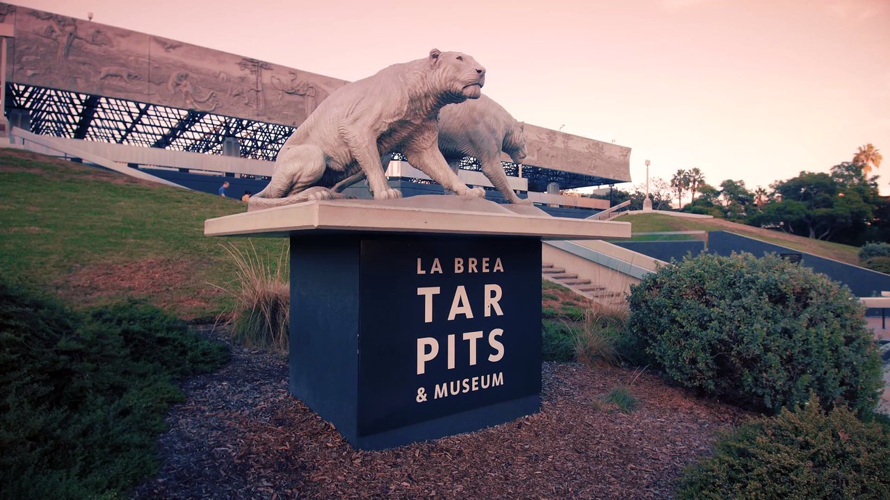 Tracking Shot Of Garden At La Brea Tar Pits And Museum In 4K.