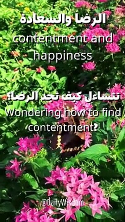 الرضا والسعادة