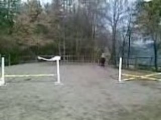 mini parcours Fino