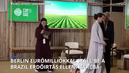 Százmillió eurót fektet be Németország a brazil erdőirtás elleni küzdelembe