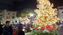 Gli alberi a festa hanno acceso il Natale a Messina