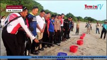 Pelepasan Ratusan Tukik dan Penanaman Pohon di Pantai Ujung Genteng - Sukabumi