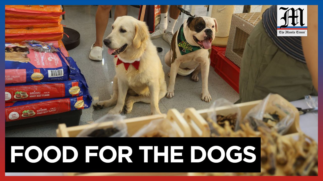 Pet store spearheads donations for fur babies