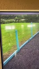 Imagens mostram batida violenta que terminou com a morte de duas pessoas na BR-282 em SC