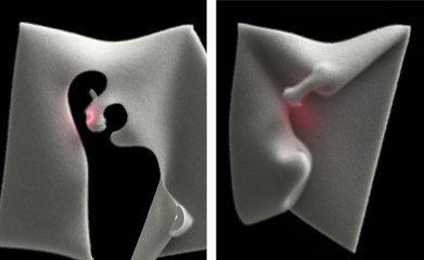 Volume Genesis BEGINNINGS