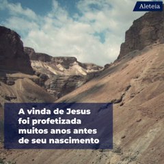 Profetas da Natividade