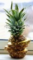 Ananas khane ke fayde  #pineapple #ananas #youtubeshorts #amazingfacts #shortvideo
