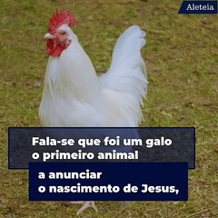 A origem da “missa do galo”