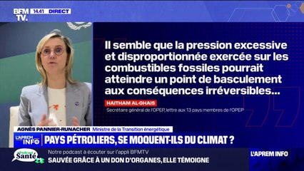 Énergies fossiles: "Il ne faut pas se laisser impressionner par la prise de position" de l'Opep, réagit Agnès Pannier-Runacher