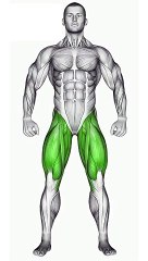 Power Up Your Legs #legexercises #fitnessgoals #strengthtraining #sculptedlegs #shorts #shortvideo