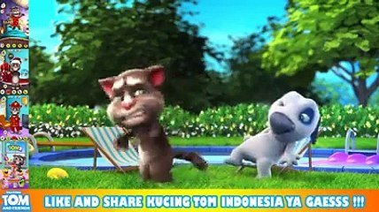 Kucing Tom dikerjai Kucing Putih