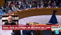 Gaza : Vote au Conseil de sécurité de l'ONU
