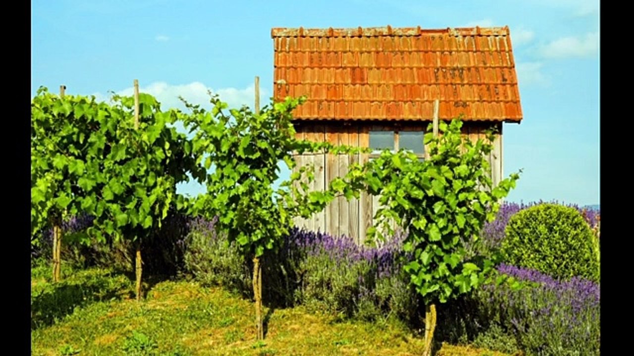 Best Sensory Music for Autism Sensory Visuals | Calm Relaxing Music