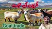 |Hadith for trading goats|Hadees voice over with Aqeel |hadise nabvi Sallallahu Alaihi Wasallam |