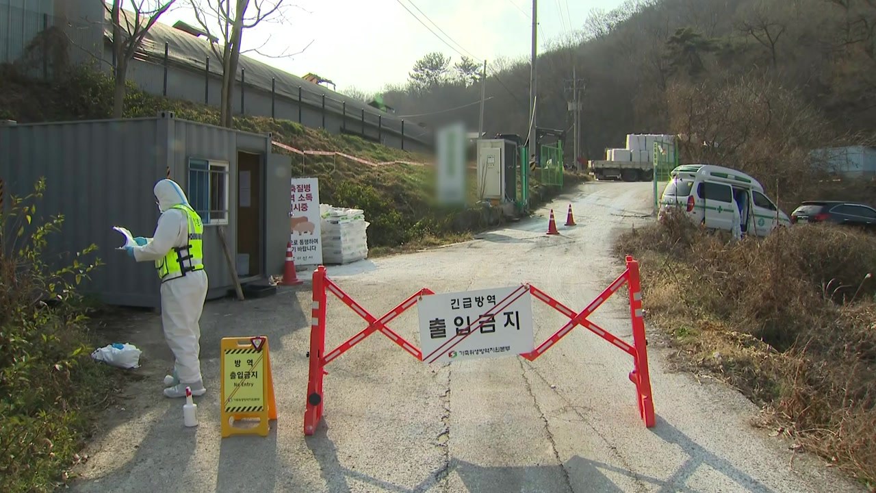 충남 아산 농장에서 고병원성 AI 확인...전국 6번째 / YTN