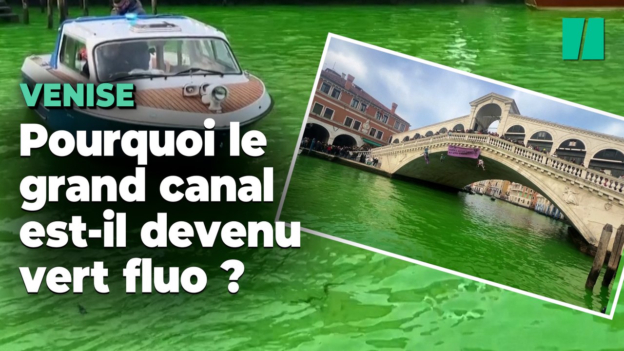 Extinction Rebellion colore le grand canal de V...