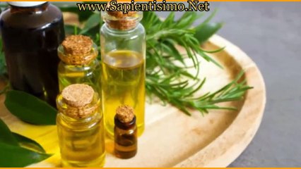 14 Beneficios del Romero para el Cabello