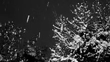 Snow falling,Rain sleep asmar