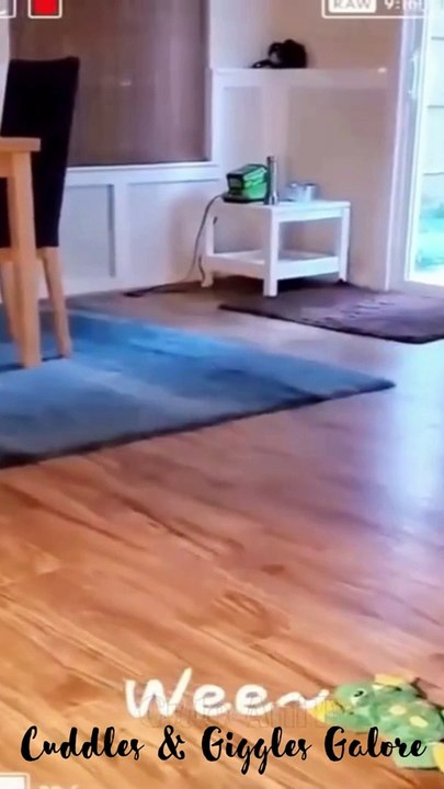 Cuddles & Giggles Galore