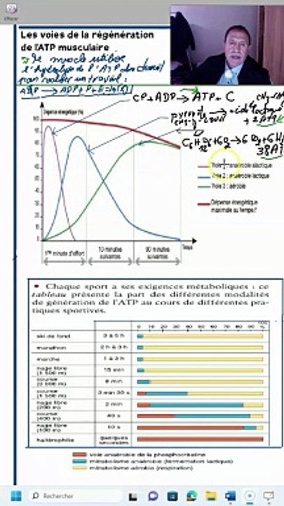 regeneration atp