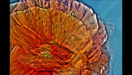 Bio-graphie - Les Mots d'Mouchoir