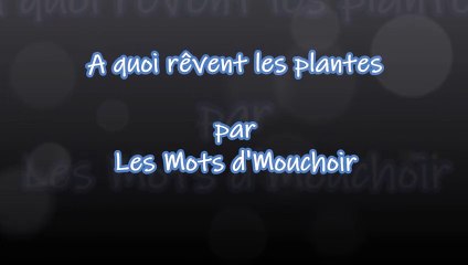 A quoi rêvent les plantes - Les Mots d'Mouchoir