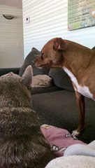 Parr Sings To Penny