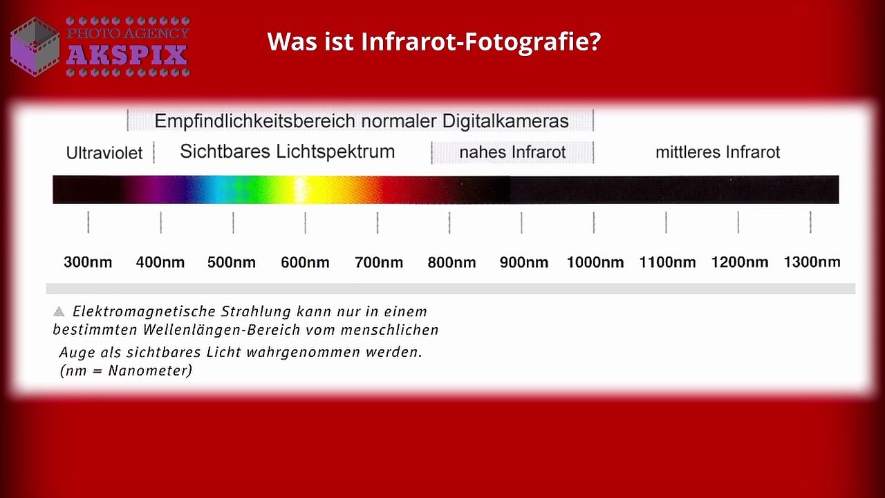 Was-ist-Infrarot-Fotografie-1