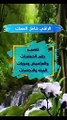 حلم النجاسات ودورات المياة والحمامات