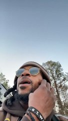 Package Delivered To Resident German Shepherd