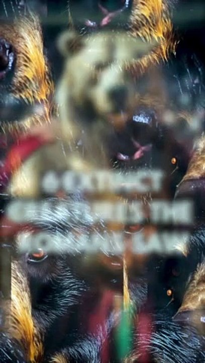 Lost Wonders: Extinct Creatures Witnessed by the Romans  #facts #history #shorts #romans #ancient