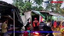Hujan Disertai Angin Kencang Terjang Kota Bogor, 3 Mobil Rusak Tertimpa Pohon Tumbang
