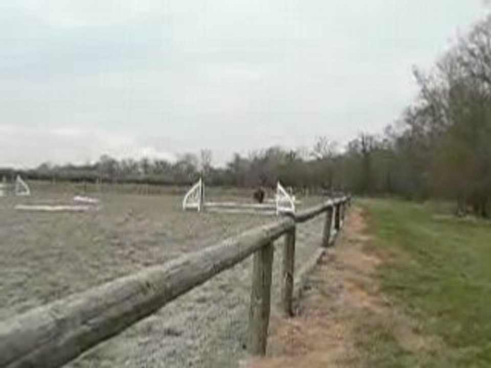 premier saut de Clémentine (ponette)