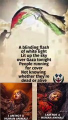 we will never go down in Gaza tonight