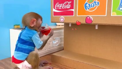 Diary of a Funny Monkey/Chapter Five