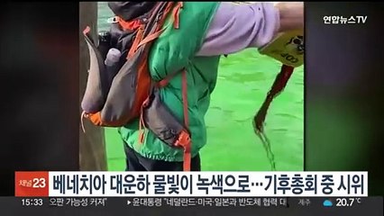 베네치아 대운하 물빛이 녹색으로…기후총회 중 시위