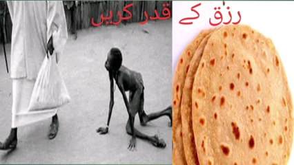 rizq ko zaya karna | don't waste food | khanay ka zeya gunah hai | wildlens