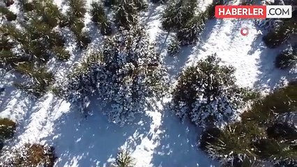 Mersin'de Toroslar karla kaplandı, kartpostallık görüntüler ortaya çıktı