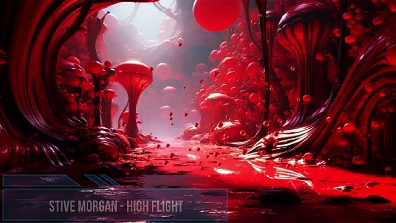 Stive Morgan - High Flight