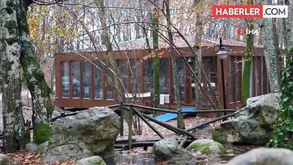 Ormanın içindeki türbenin hikayesi: Buraya gelen aç kalmıyor