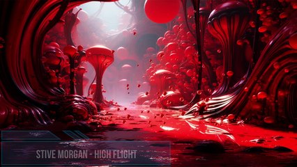 Stive Morgan - High Flight