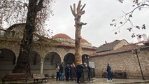 350 yıllık ağaç, heykel oldu: Seni koruyamadığımız için özür dileriz