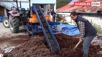 Denizli'nin Buldan ilçesinde kestaneler satışa sunuldu