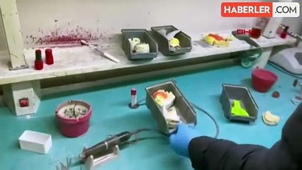 Adana'da Merdiven Altı Diş Laboratuvarına Operasyon: 7 Gözaltı