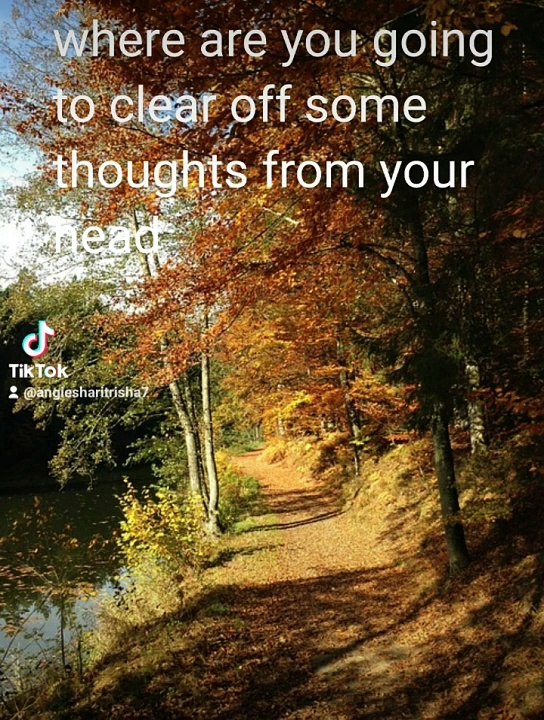 Beautiful nature
