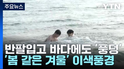 반팔 입고 바다에도 '풍덩'...'봄 같은 겨울' 이색풍경 / YTN